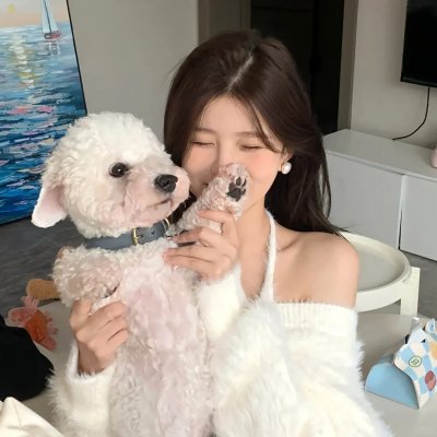 春满凤城